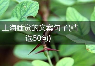 上海睡觉的文案句子(精选50句)