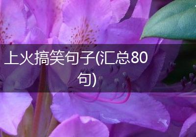 上火搞笑句子(汇总80句)