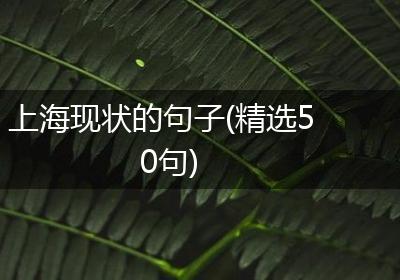 上海现状的句子(精选50句)