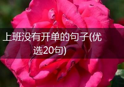 上班没有开单的句子(优选20句)