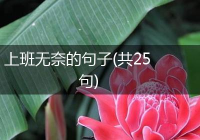 上班无奈的句子(共25句)