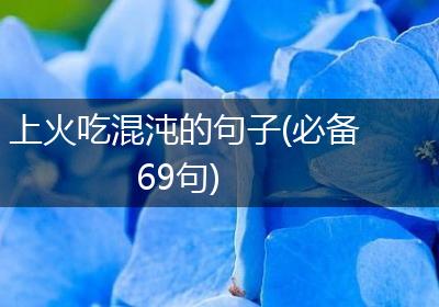 上火吃混沌的句子(必备69句)