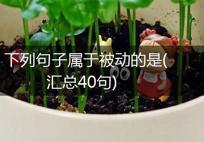 下列句子属于被动的是(汇总40句)