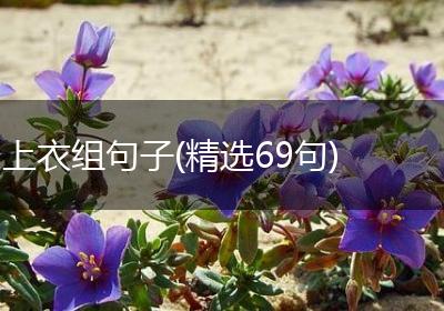 上衣组句子(精选69句)