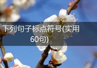 下列句子标点符号(实用60句)