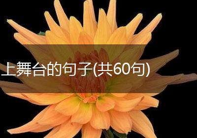 上舞台的句子(共60句)
