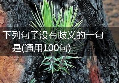 下列句子没有歧义的一句是(通用100句)