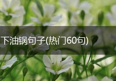 下油锅句子(热门60句)