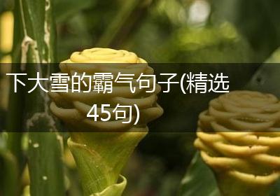 下大雪的霸气句子(精选45句)