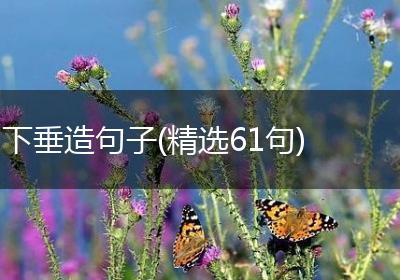 下垂造句子(精选61句)