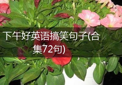下午好英语搞笑句子(合集72句)