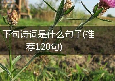 下句诗词是什么句子(推荐120句)