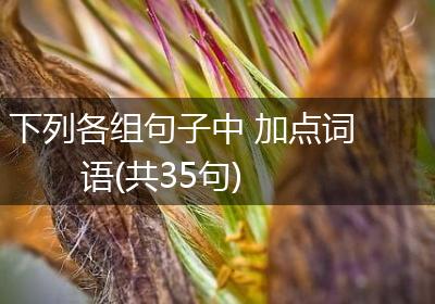 下列各组句子中 加点词语(共35句)