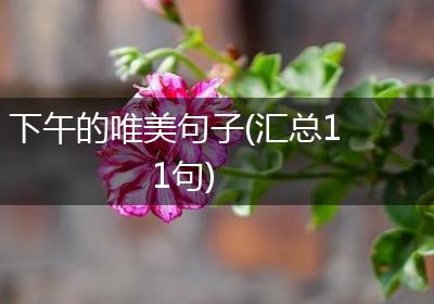 下午的唯美句子(汇总11句)