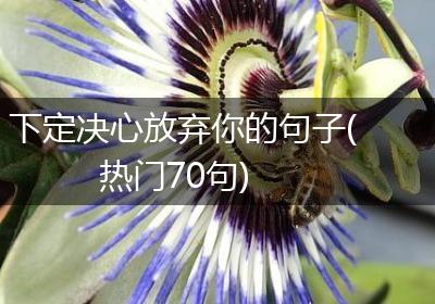 下定决心放弃你的句子(热门70句)
