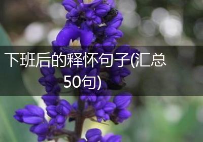 下班后的释怀句子(汇总50句)