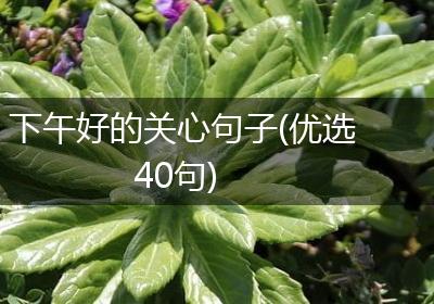 下午好的关心句子(优选40句)
