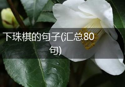 下珠棋的句子(汇总80句)