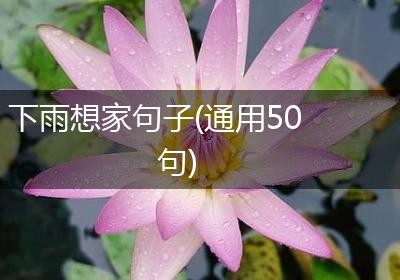 下雨想家句子(通用50句)