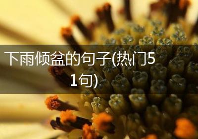 下雨倾盆的句子(热门51句)