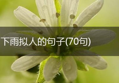 下雨拟人的句子(70句)