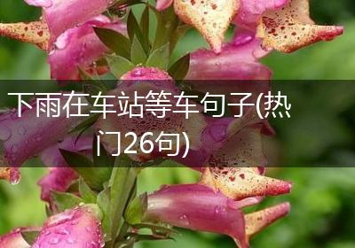 下雨在车站等车句子(热门26句)