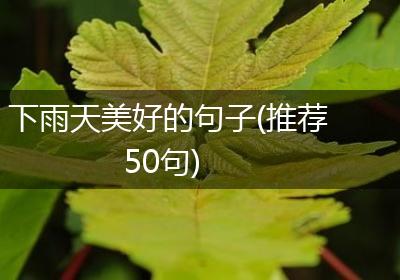 下雨天美好的句子(推荐50句)