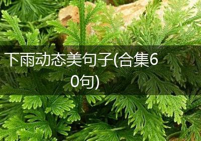 下雨动态美句子(合集60句)