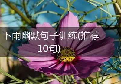 下雨幽默句子训练(推荐10句)