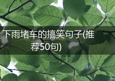 下雨堵车的搞笑句子(推荐50句)