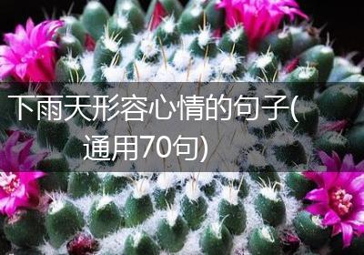 下雨天形容心情的句子(通用70句)