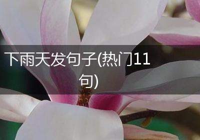 下雨天发句子(热门11句)