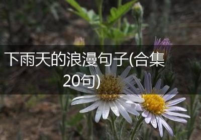 下雨天的浪漫句子(合集20句)