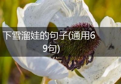 下雪溜娃的句子(通用69句)