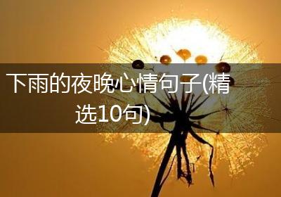 下雨的夜晚心情句子(精选10句)