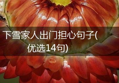 下雪家人出门担心句子(优选14句)