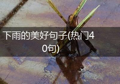 下雨的美好句子(热门40句)