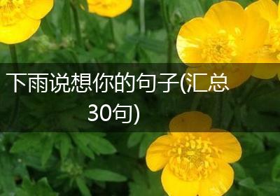 下雨说想你的句子(汇总30句)