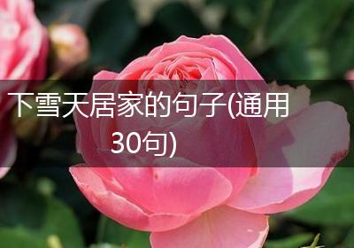 下雪天居家的句子(通用30句)