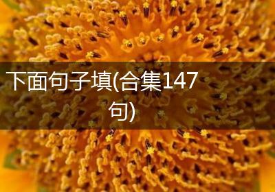 下面句子填(合集147句)