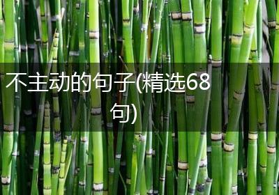 不主动的句子(精选68句)