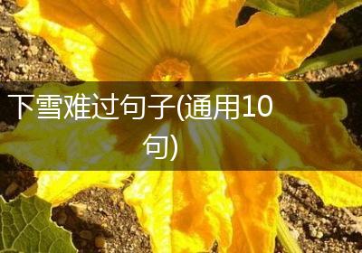 下雪难过句子(通用10句)
