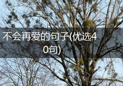 不会再爱的句子(优选40句)