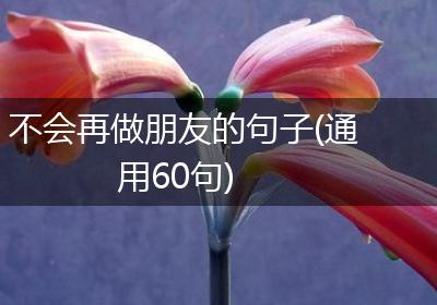 不会再做朋友的句子(通用60句)