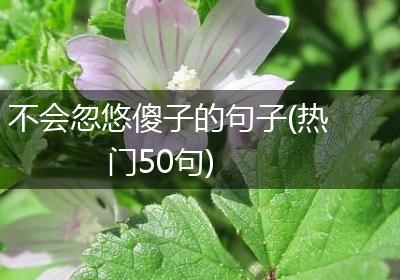 不会忽悠傻子的句子(热门50句)