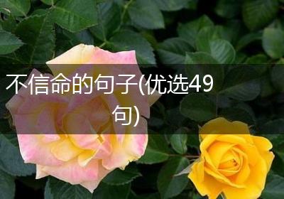 不信命的句子(优选49句)