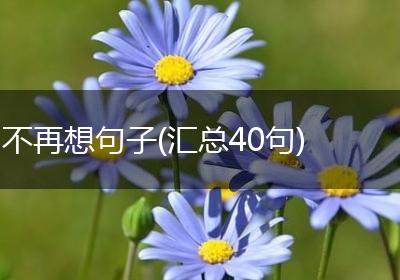 不再想句子(汇总40句)