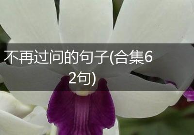 不再过问的句子(合集62句)