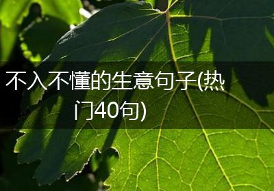 不入不懂的生意句子(热门40句)