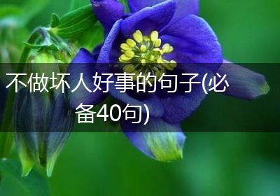 不做坏人好事的句子(必备40句)